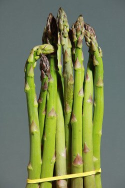 Asparagus