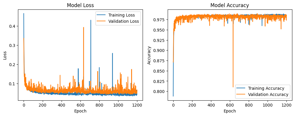 Loss and Accuracy