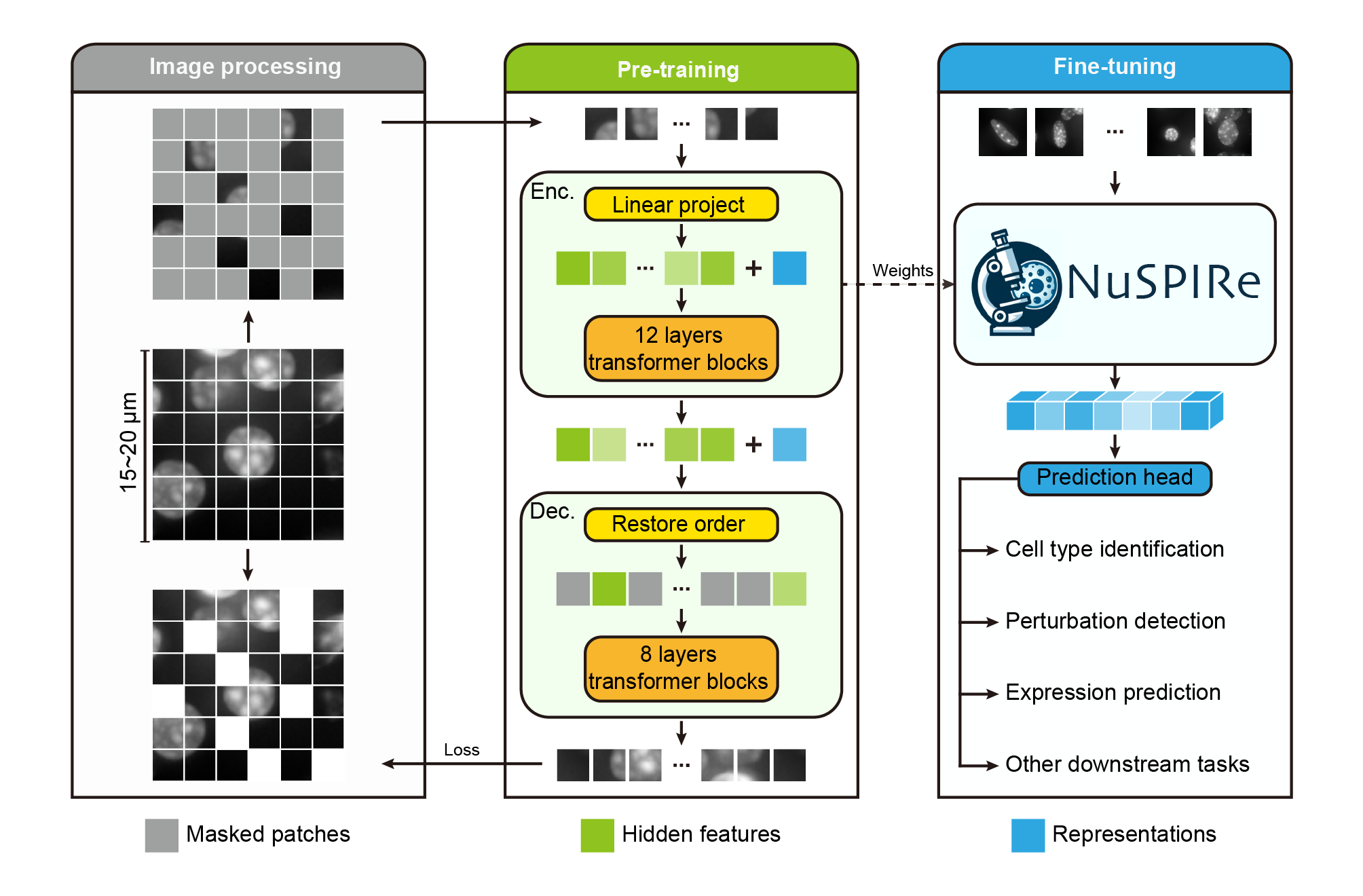 Overview Of NuSPIRe