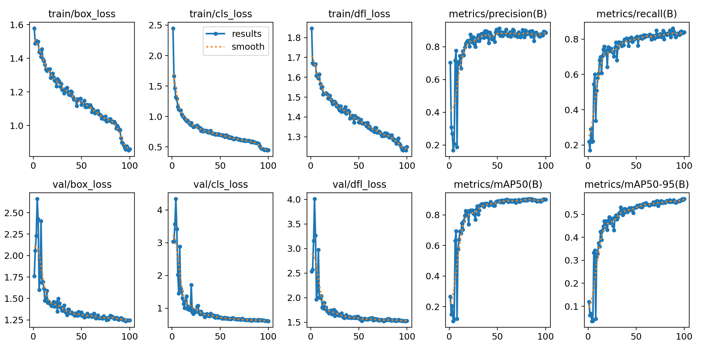 Training and Validation Losses