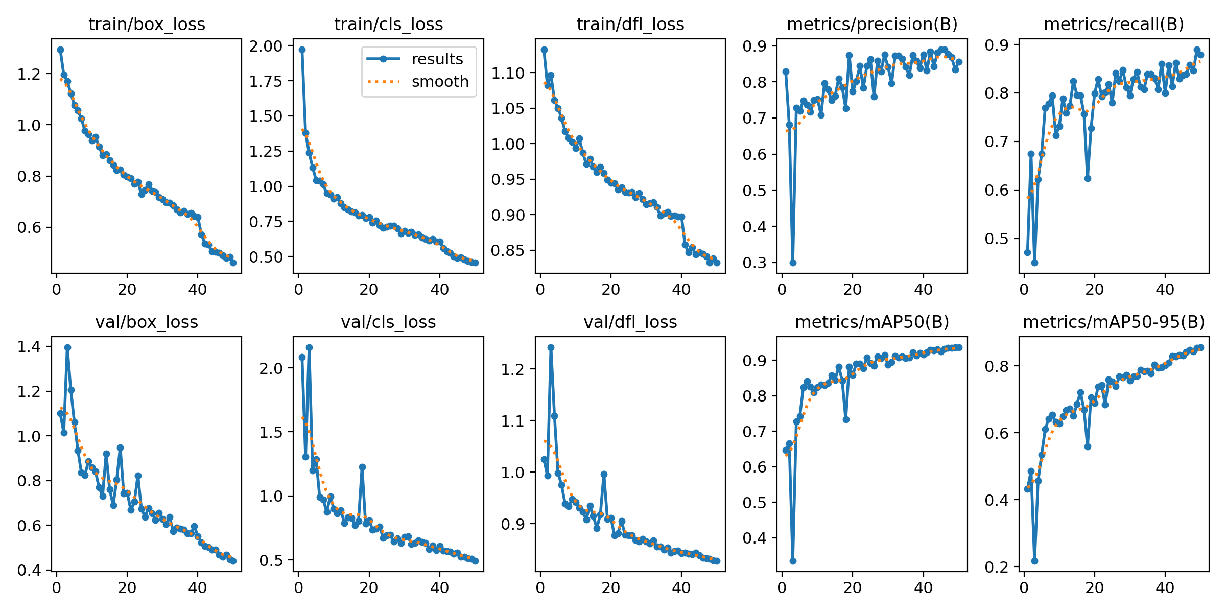 Training and Validation Losses