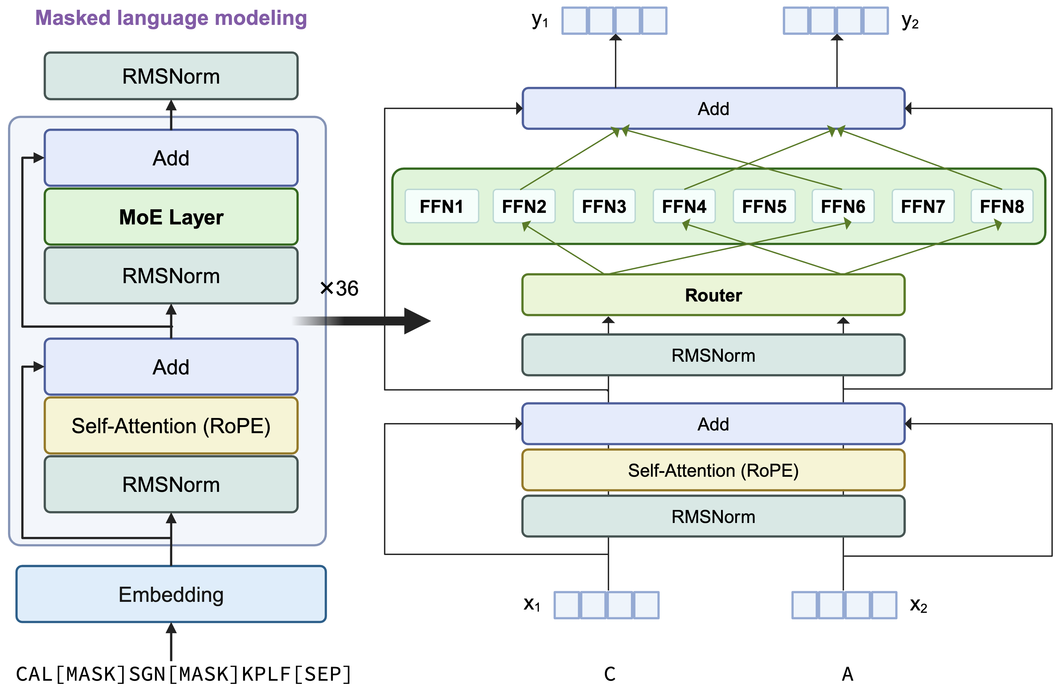 AIDO.Protein-16B Architecture