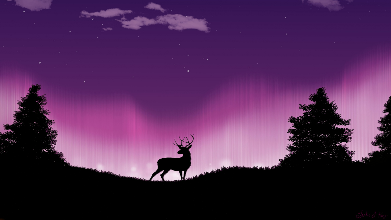 Deer Night Scenery Minimalist .jpg