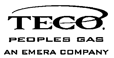 teco_Page_001.png