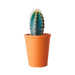 cactus_rgba.png