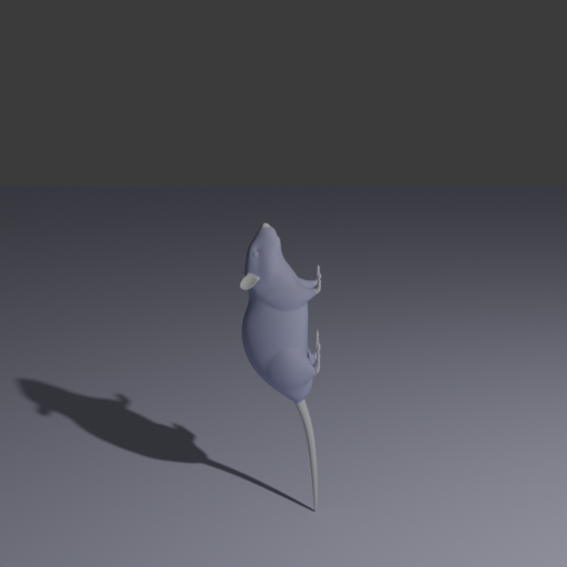 mouse_no_1.png