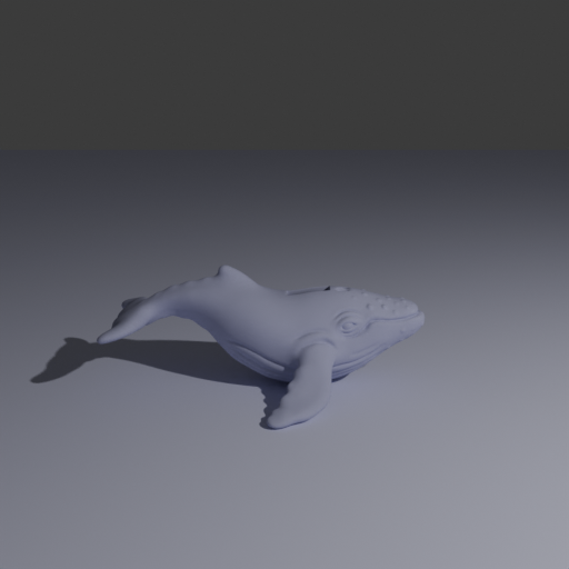 whale_1.png