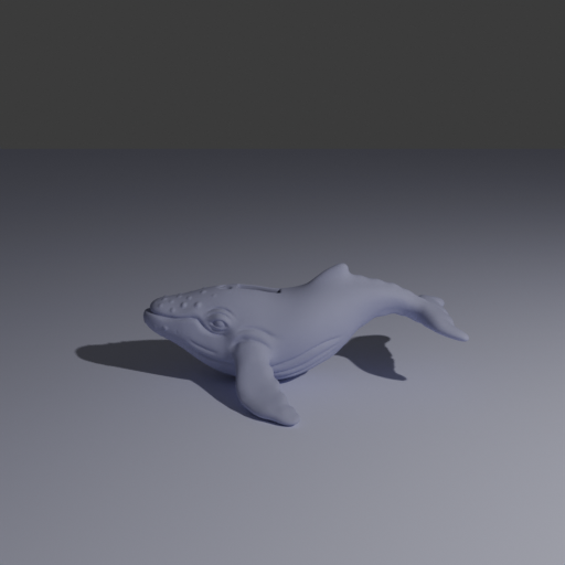 whale_2.png